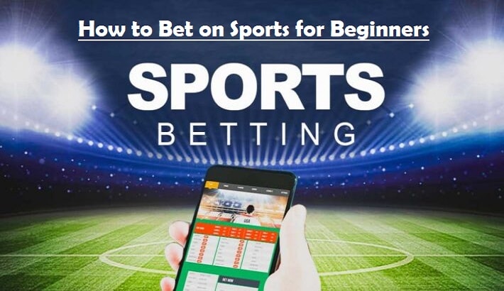 how to bet on sports for beginners